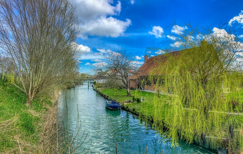 Balade dans les marais de Clairemarais, une visite insolite où la nature et l'homme vivent en parfaite harmonie