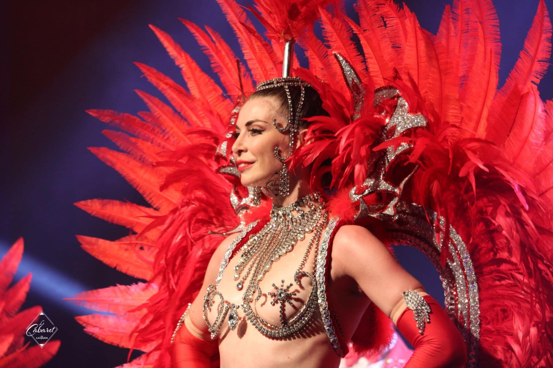 Danseuse du cabaret en tenue plumes rougers