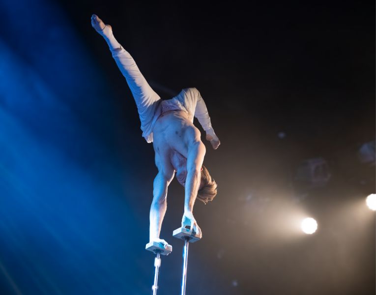 Acrobates