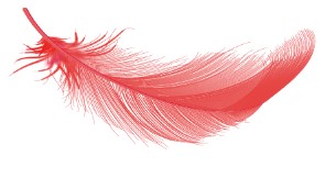 plume rouge diner spectacle
